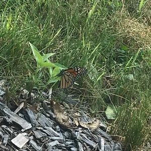 Meet your Posher, Eva